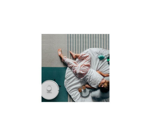 Пилосос Rowenta RR8567WH