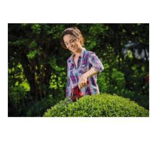 Кущоріз Einhell GC-CG 3,6/70 Li WT, 3.6В 2 Аг, 70/110мм, крок різу 8мм, 0.8кг (3410365)