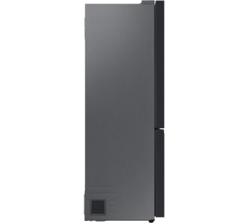 Холодильник Samsung RB50DG601EB1UA