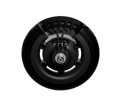 Электросамокат Segway Ninebot E2 PLUS E II, черный (AA.05.14.02.0003)