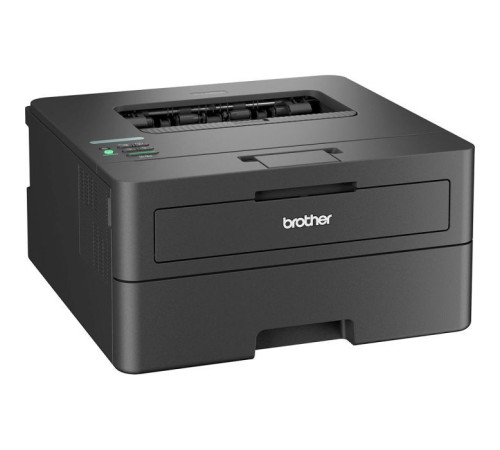 Лазерний принтер Brother HLL2460DNYJ1