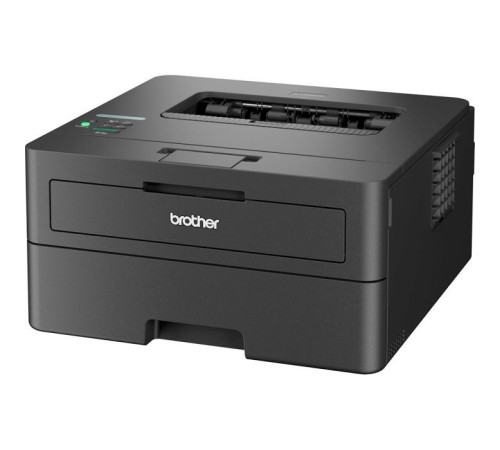 Лазерний принтер Brother HLL2460DNYJ1