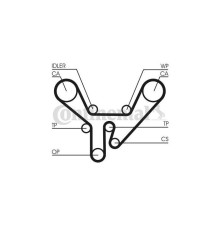 Ремень ГРМ CONTITECH CT727