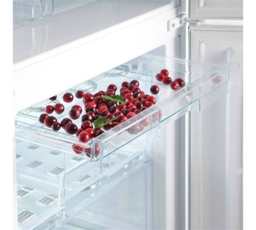 Холодильник Snaige RF58SM-S5DV2E