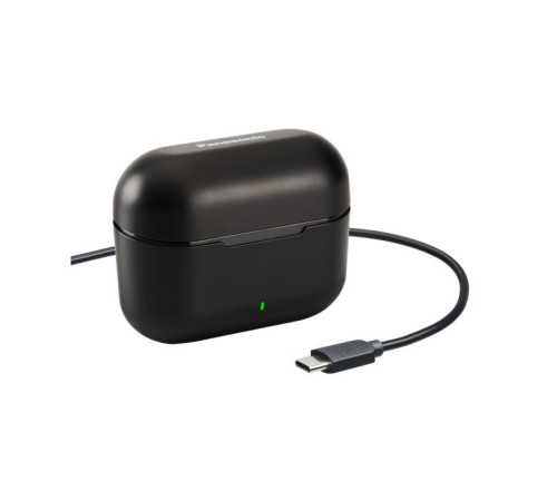 Навушники Panasonic RZ-B310W Black (RZ-B310WDG-K)