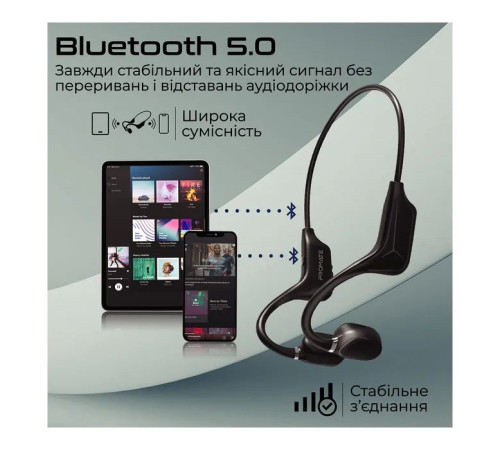 Навушники Promate Ripple Black (ripple.black)
