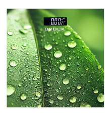 Ваги підлогові Brock BS 003