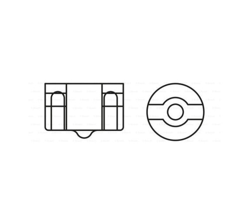 Автолампа Bosch 21W (1 987 302 251)