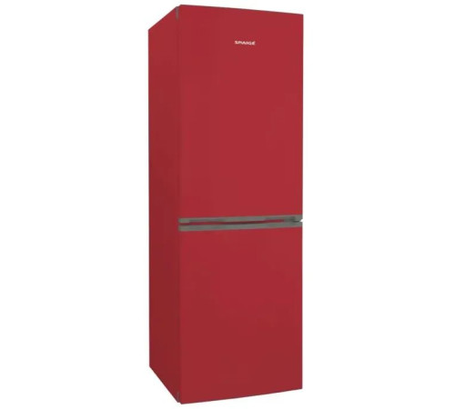 Холодильник Snaige RF56SM-S5RB2E