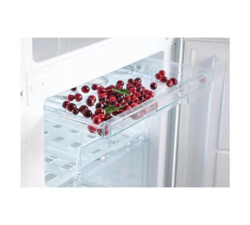 Холодильник Snaige RF31SM-S0002E