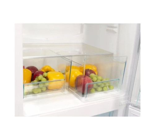 Холодильник Snaige RF31SM-S0002E