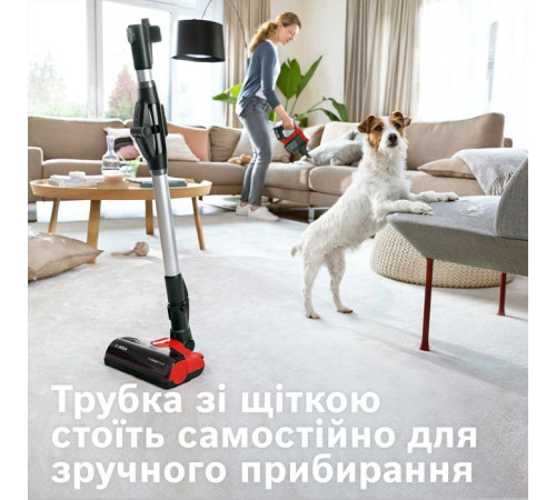 Пилосос Bosch BBS711ANM