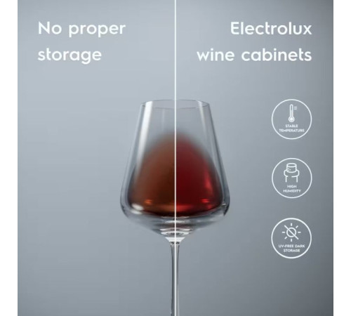 Холодильник Electrolux EWUS020B5B