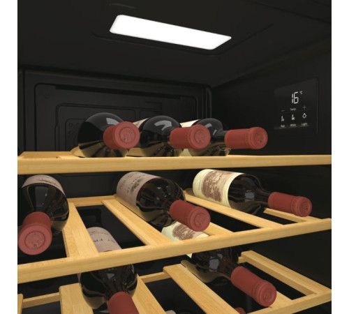 Холодильник Candy CWC023