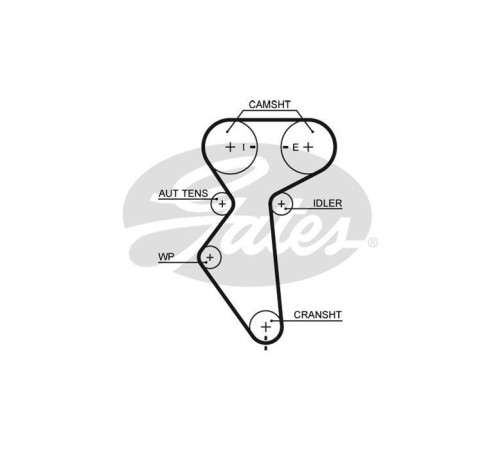Ремінь ГРМ Gates 5419XS