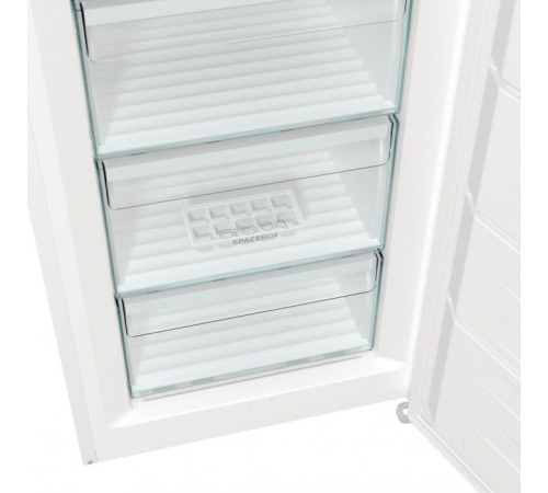 Морозильна камера Gorenje FN619EEW5
