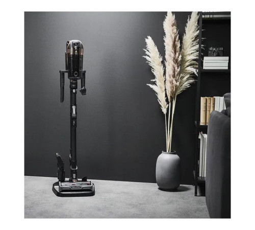 Пилосос Rowenta RH99G1WO