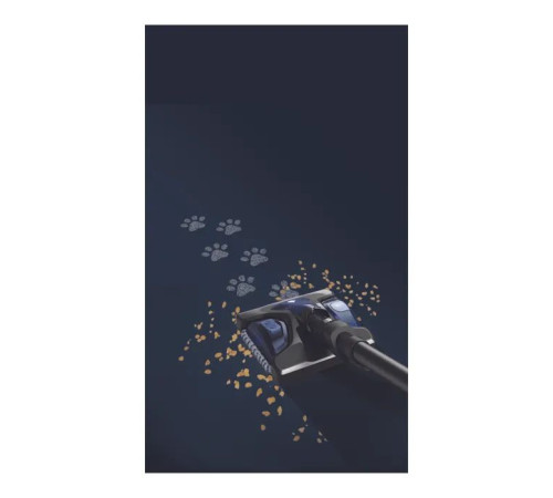 Пилосос Rowenta RH99G1WO