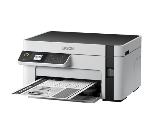 Многофункциональное устройство Epson M2120 (C11CJ18404)
