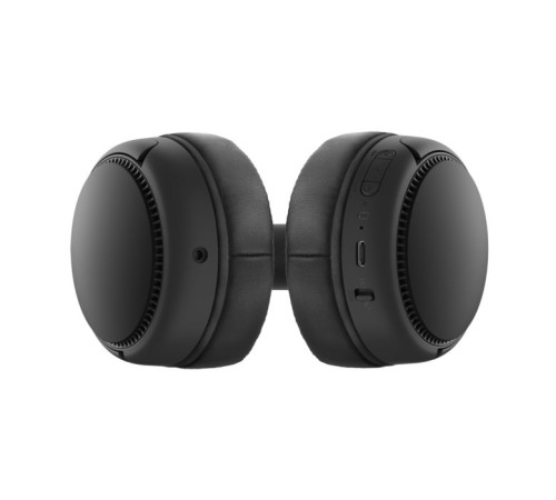 Навушники Panasonic RB-M300BGE-K Black (RB-M300BGE-K)