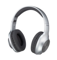 Навушники Panasonic RB-HX220BEE-S Gray (RB-HX220BEE-S)