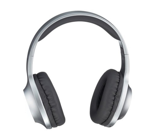 Навушники Panasonic RB-HX220BEE-S Gray (RB-HX220BEE-S)