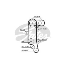 Ремінь ГРМ Gates 5565XS