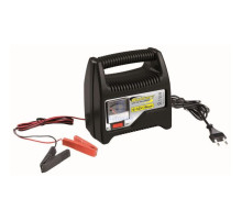 Зарядний пристрій для автомобільного акумулятора Bottari 8A 6V/12V з амперометром (28108-IS)