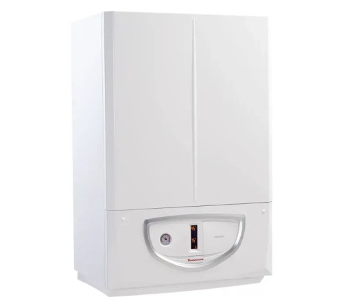 Котел Immergas Avio Eco 24 (3.028383)