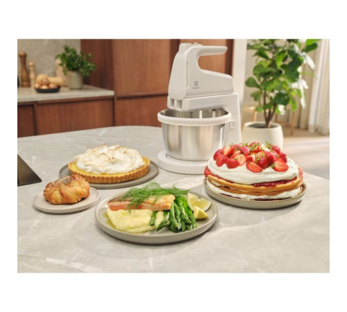 Міксер Electrolux ESM4W