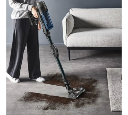 Пылесос Rowenta RH9AD1WO