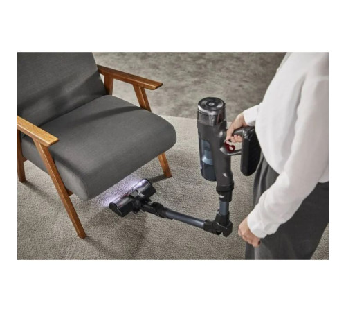 Пылесос Rowenta RH9AD1WO