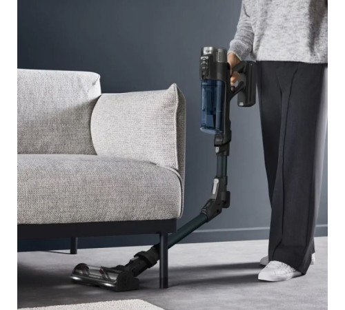 Пылесос Rowenta RH9AD1WO