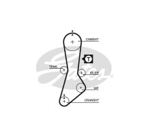 Ремінь ГРМ Gates 5264XS