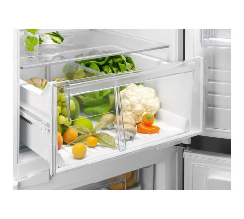 Холодильник Electrolux RNT6TE19S