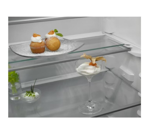 Холодильник Electrolux RNT6TE19S