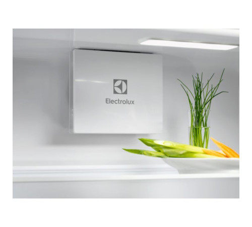 Холодильник Electrolux ERD6DE18S1